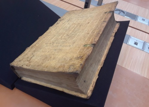 Auf dem Foto ist ein altes, historisches Buch zu erkennen. Das Cover trägt keine Inschrift und besteht aus einfachem, hellen Holz.